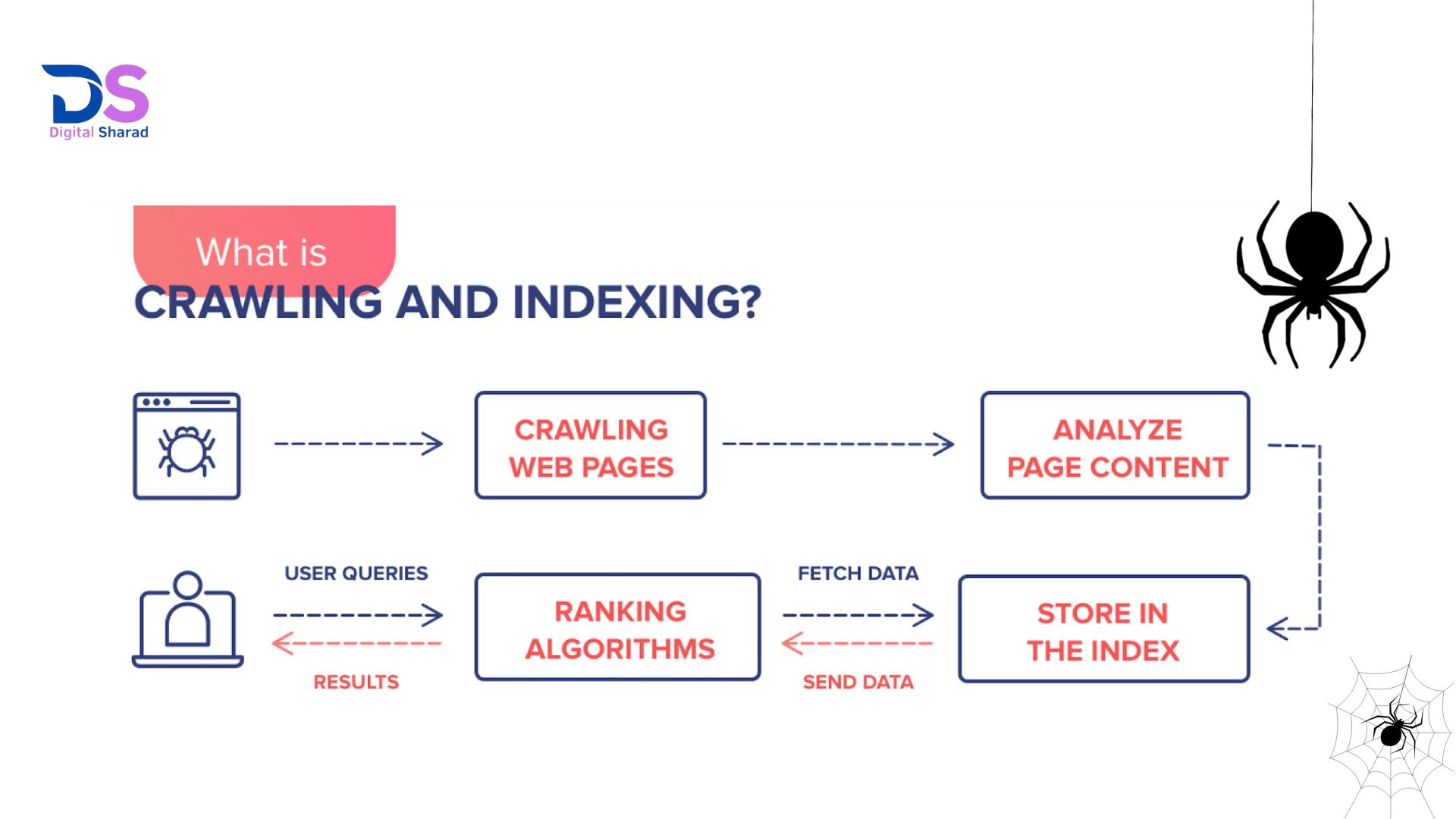 How search engines work: from crawling websites using bots, processing content, indexing pages in the database, and ranking them in search results based on SEO signals.