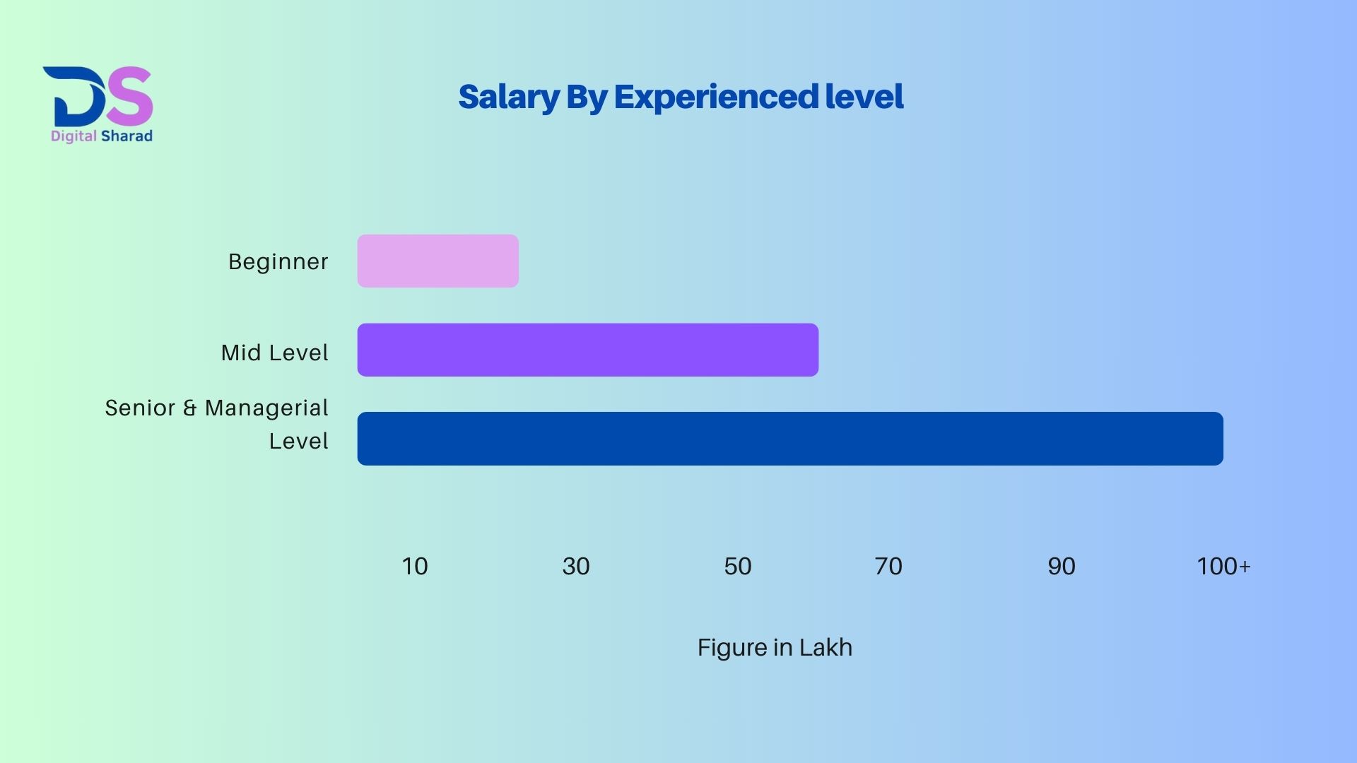 SEO Salary by Experienced Level.